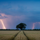 Illustration for article titled Photographer captures amazing moment lightning strikes an English field
